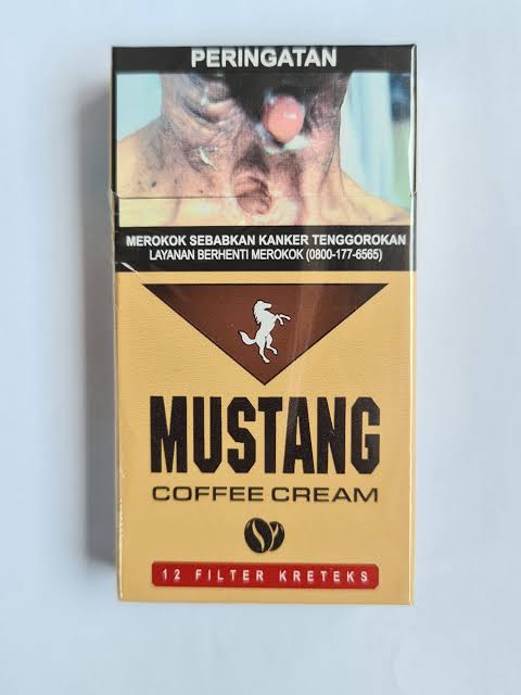 MUSTANG 12