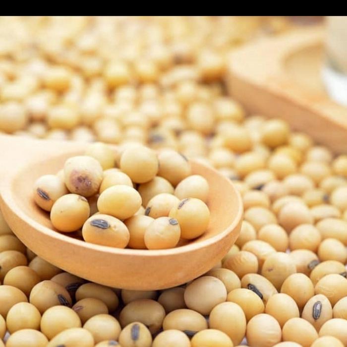 KACANG KEDELAI